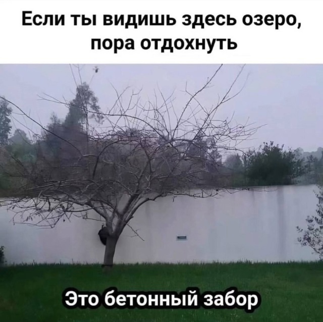 https://i.postimg.cc/k4WKsS38/Di6lcnw-HQq7a-OIn-X9-J0isq09b-Ty8p-CAsl8w-P8-UM24-J1-TJw-GSg-Acq-PDR-r-XQa4-Rt5-D6j-Bn-FSq-Ll-Zl-C5-Vd-SC0-VFp.jpg