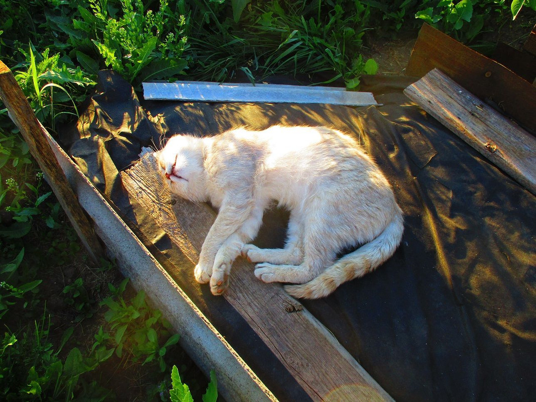 IMG-7012.jpg