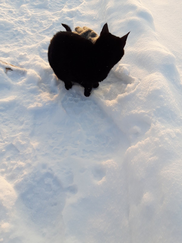 F3644A38-CF0F-42B4-AB65-4BBCBCFDECC3