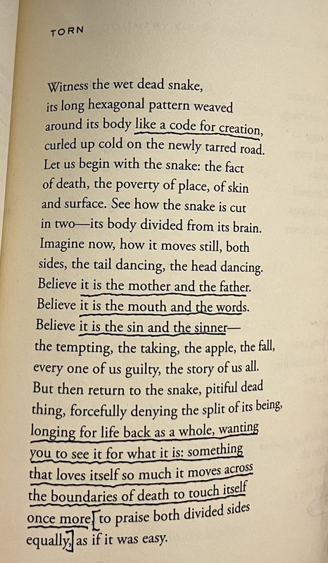 Torn // Witness the wet dead snake, / its long hexagonal pattern weaved / around its body like a code for creation, / curled up cold on the newly tarred road. / Let us begin with the snake: the fact / of death, the poverty of place, of skin / and surface. See how the snake is cut / in two--its body divided from its brain. / Imagine now, how it moves still, both / sides, the tail dancing, the head dancing. / Believe it is the mother and the father. / Believe it is the mouth and the words. / Believe it is the sin and the sinner-- / the tempting, the taking, the apple, the fall, / every one of us guilty, the story of us all. / But then return to the snake, pitiful dead / thing, forcefully denying the split of its being, / longing for life back as a whole, wanting / you to see it for what it is: something / that loves itself so much it moves across / the boundaries of death to touch itself / once more, to praise both divided sides / equally, as if it was easy.