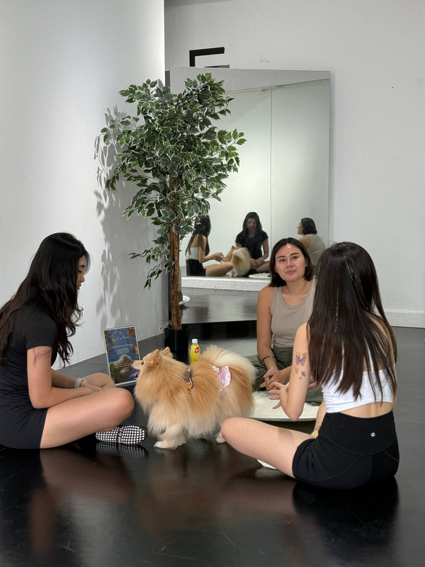 Pawrents bring their dogs to puppy yoga and animal communication session at Paws and Flo Singapore