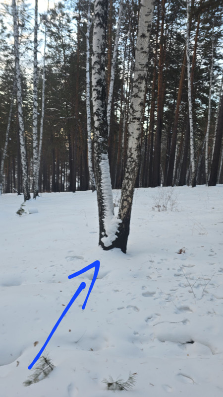 IMG2 09022026 090058