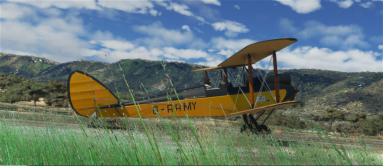 Gipsy-Moth-24.jpg