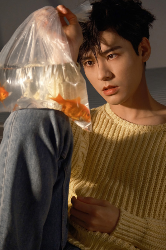 006DurXoly1he3q3awgmyj33z45yohdz