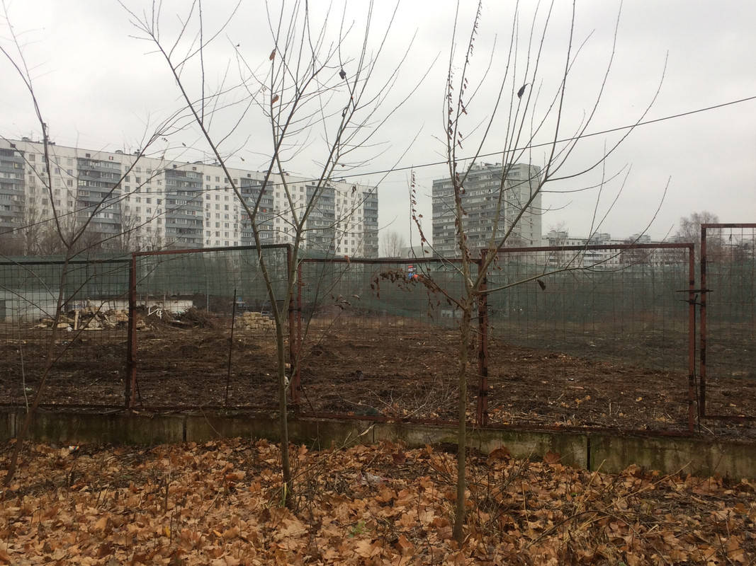 09A08E89-27E7-4B7D-B2B4-411DB45AF5FC