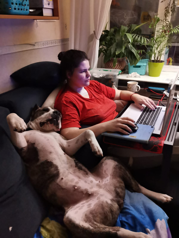 56159D06-BE5B-471B-812E-93769EA50801