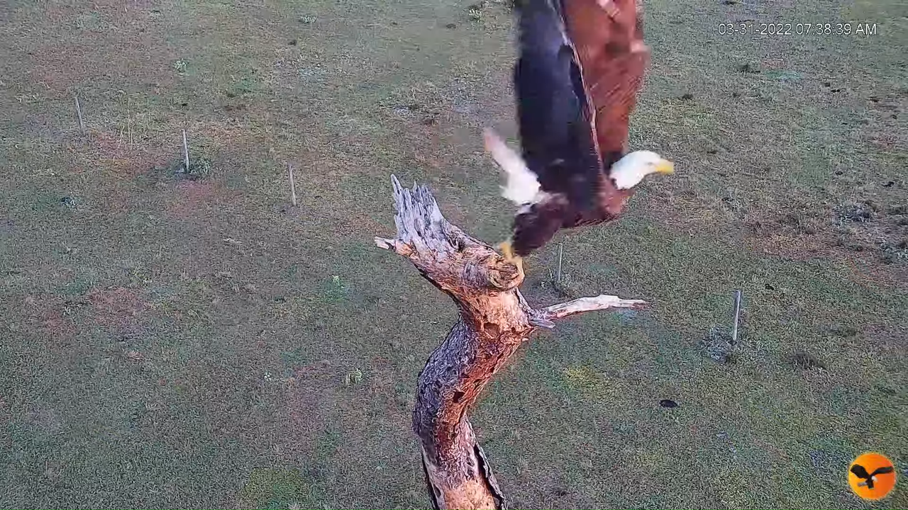 EC Remote Cam 5-17-59 screenshot (2)