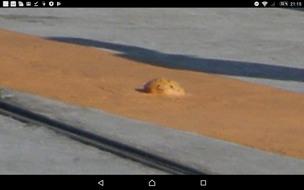 Screenshot_20191020-211531