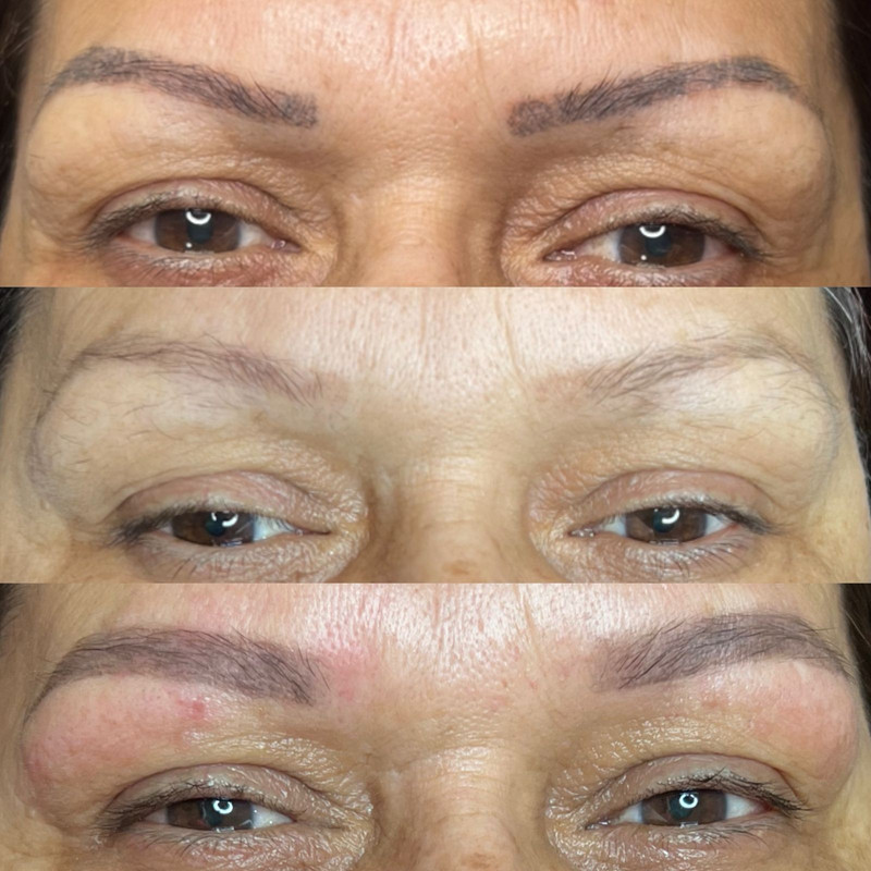 Trabalho Monica Brandão