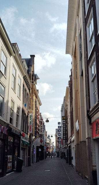 Escapada por Amsterdam - La Haya - Delft - Rotterdam - Leiden - Londres - Blogs de Europa - Museo Mauritshuis, decepcionante Depot Boijmans y callejeo por Delft y Leiden (24)