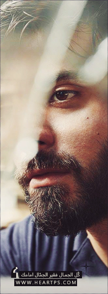 ���� ���� ������ �� ���� ������