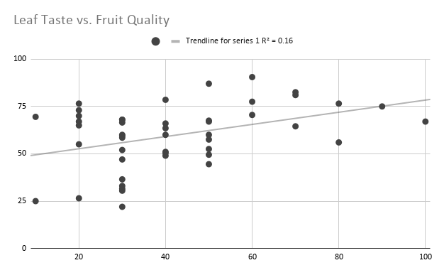 Leaf Taste vs Fruit Quality