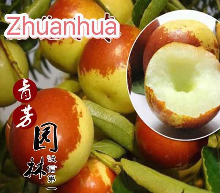 24294087_333807240356092_4353164938637915423_n