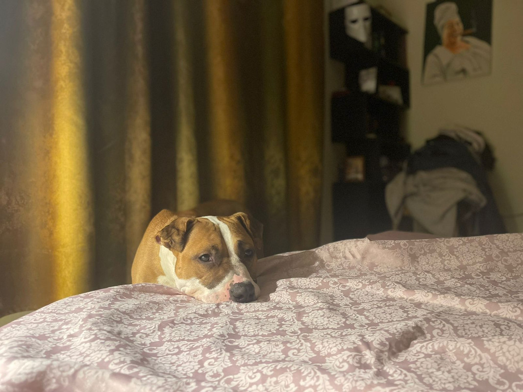 0A23CA98-26AA-4EB8-B14E-0F98EC69926B