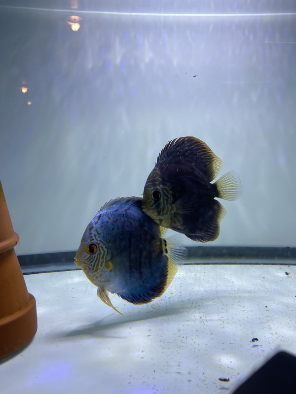 4219E737-4C7B-4F1C-825E-3969D37B4EDF