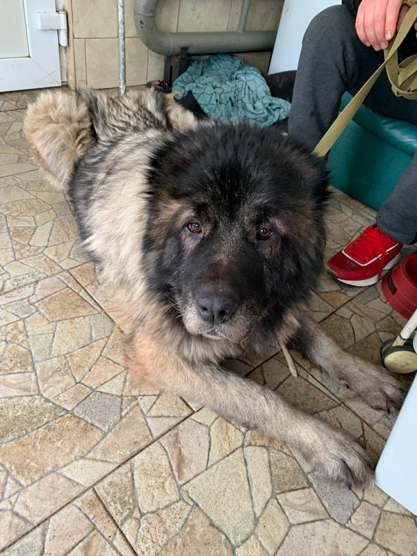 WhatsApp Image 2024-01-26 at 13.47.34 (1)