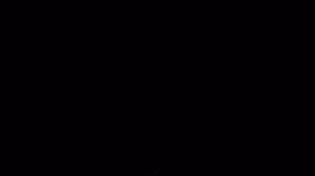 IMG-1708.gif