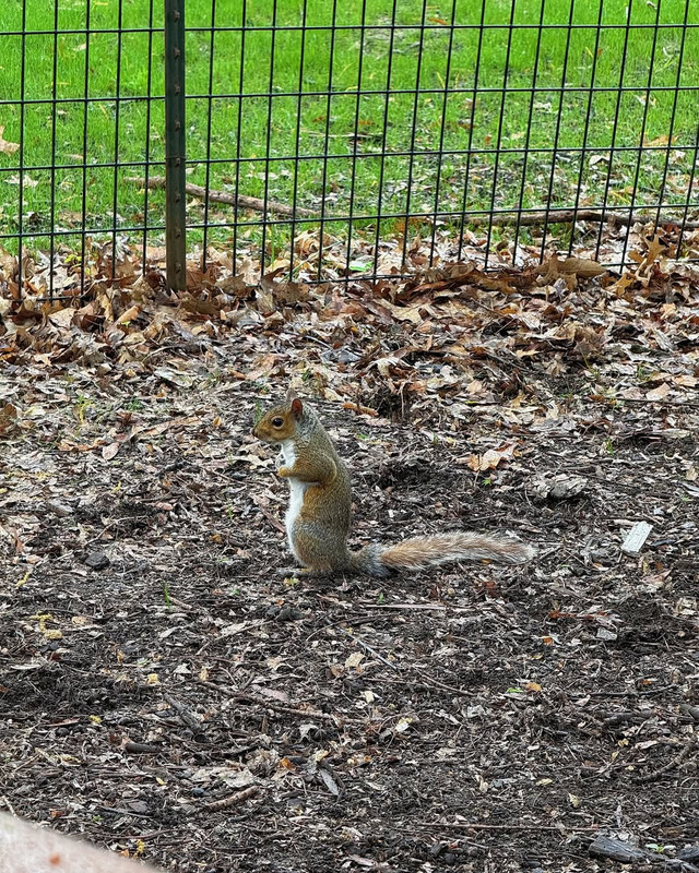 再见就是五月了 (3)