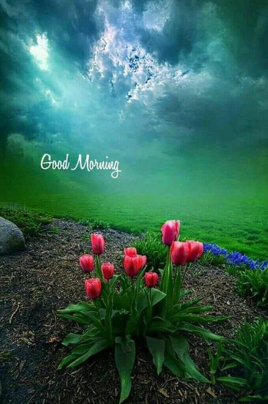 7310b9fc84cdeacff0d9df5501b7bf61