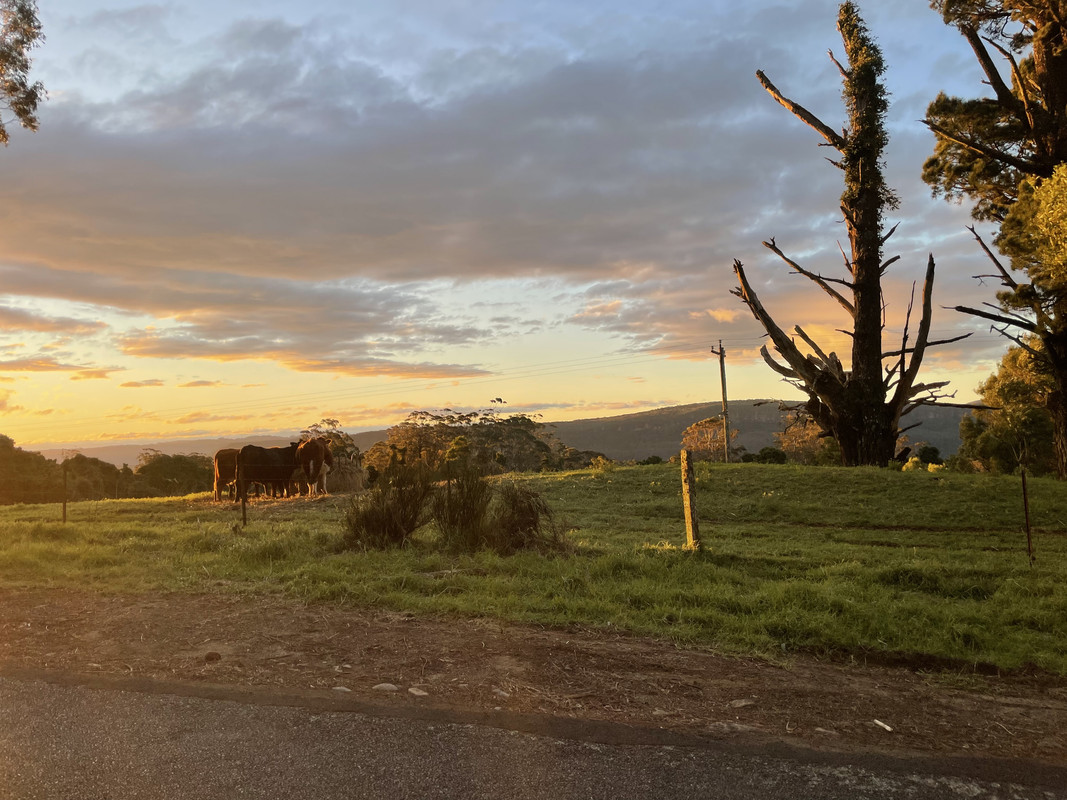 D7D4CF44-55EC-42A6-9C6F-113EE547D327