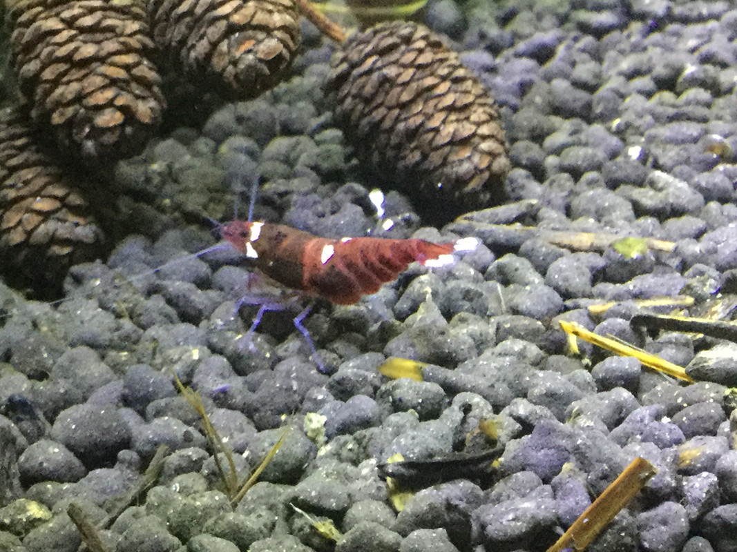 8476471B-B2E9-476C-935A-4202FD75D111