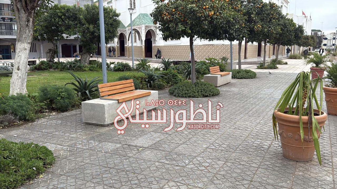 626320986-1186955569873962-4991656106309309434-n