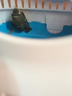 81964D0B-EB60-43BC-BC83-4C62D26688B2