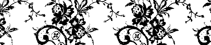 Bottom