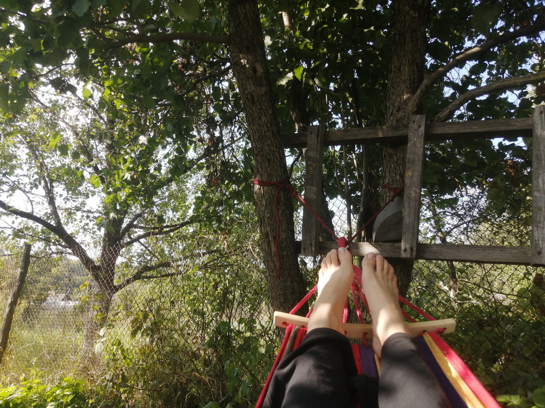 WkbUq9Q0MNfnL3YIuO06C9bVBFes_qhKh3KWqqOk1xCvk25K8PDdR_EIN10QJcQ4863GDUQ1dTbYr-_3QrxuiOl9