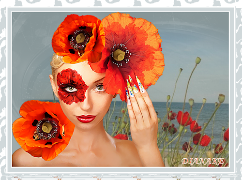 POPPIES.png”