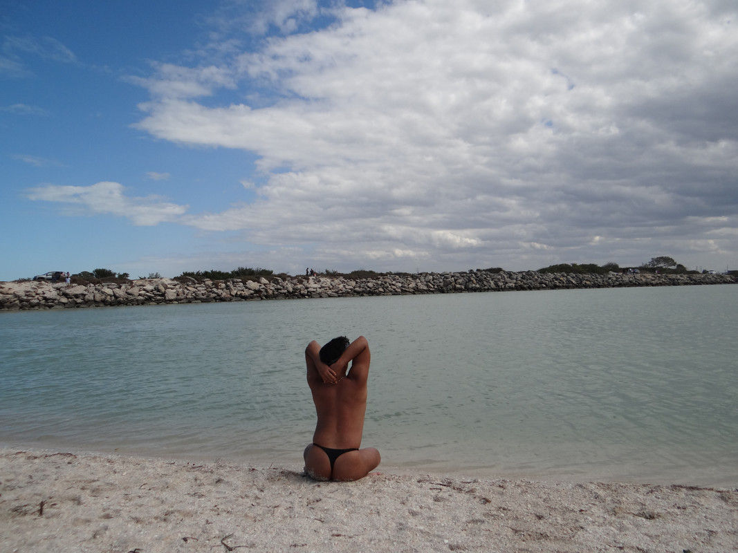 DSC01228