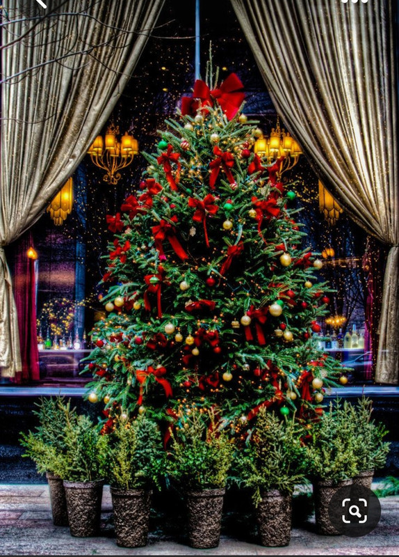 Screenshot_20230706_181649_Pinterest