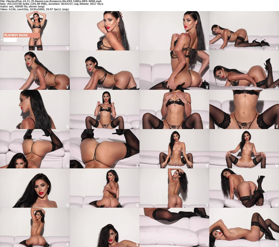 25112024131503screenshot