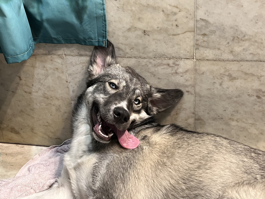 64BEA2A6-51E2-4086-A62F-71E07A7EF3EB