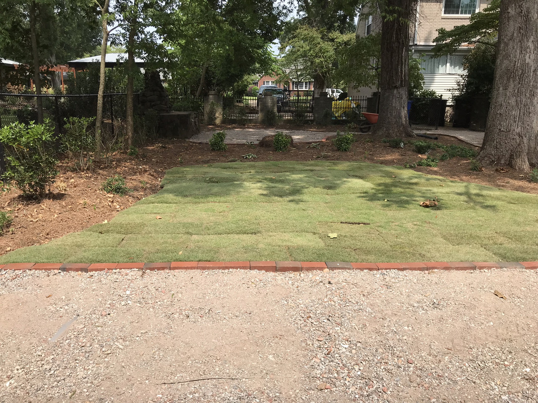 Zoysia Shade Tolerance Page 2 Lawn Care Forum