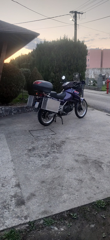 IMG20240319175814.jpg