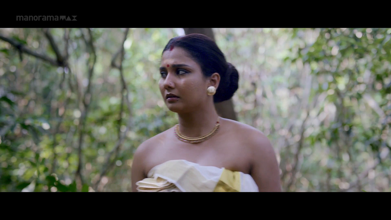 vlcsnap 2026 02 06 17h16m41s920