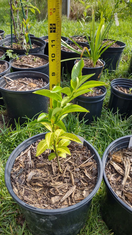 photo_2025-07-23_09-30-09 (3)