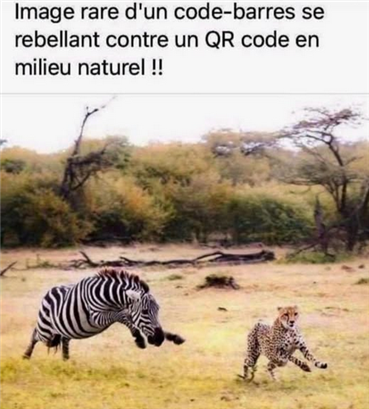 Code barre contre QR code