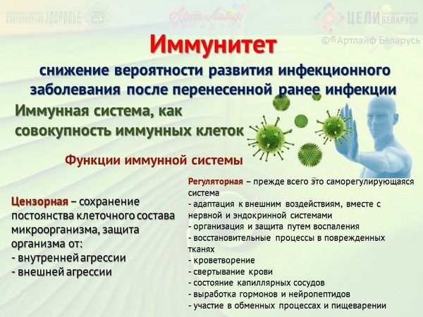 Человек – сбалансированная саморегулирующая система Человек – сбалансированная саморегулирующая система
