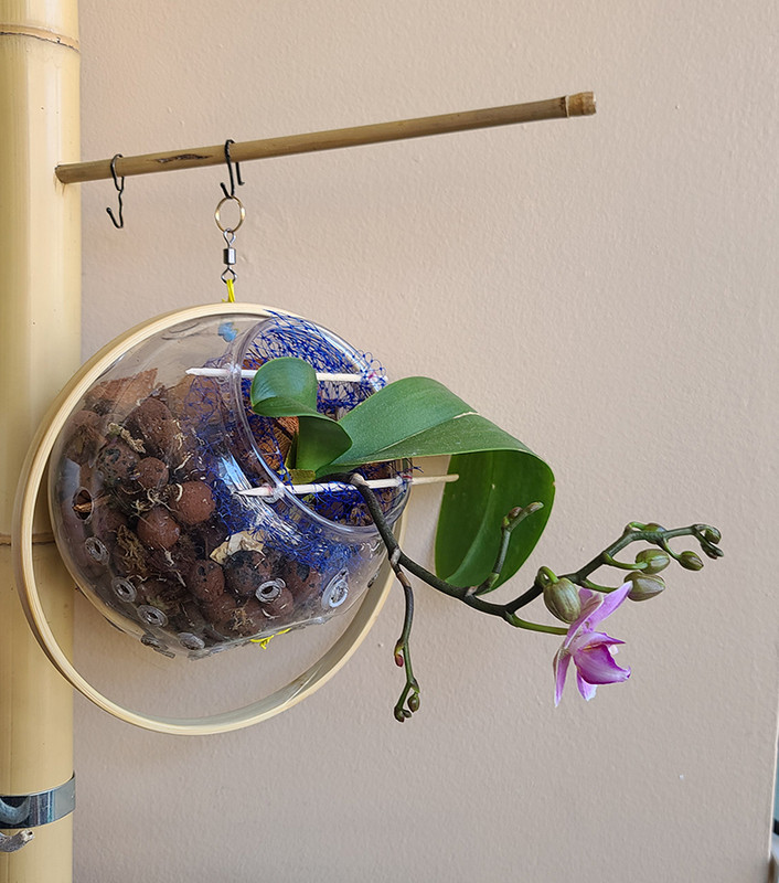 [Image: 20230705-163007.jpg]