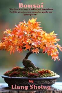 Liang Shoing - Bonsai (2024)