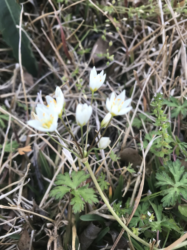 A3A9911E-DE0C-4F43-9AA3-DDE13A0F1DC5