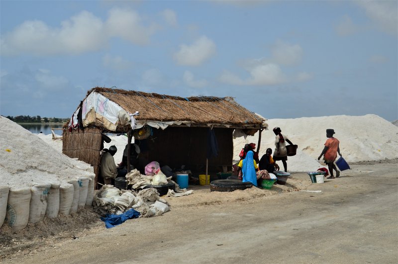 LAGO ROSA-3 y 4-8-2016 - Senegal y sus pueblos-2016 (13)