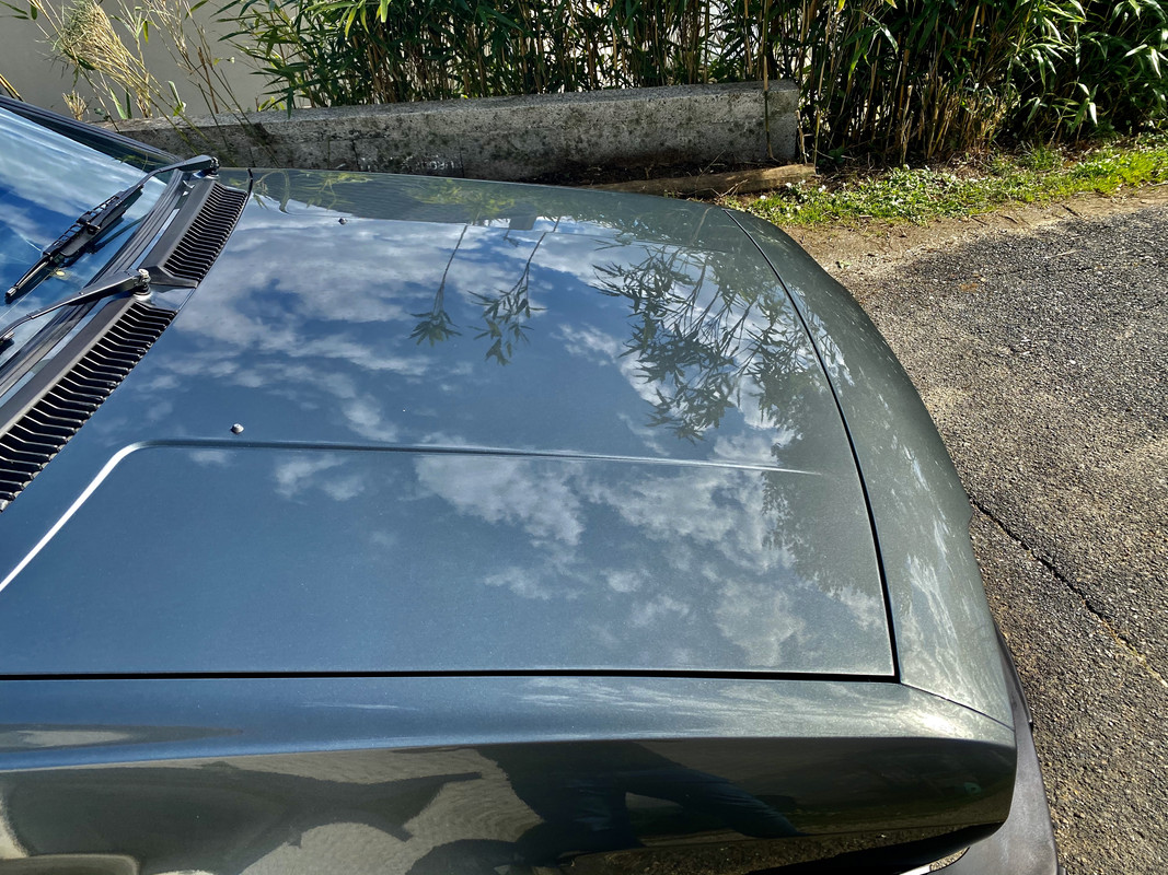 3E6359E8-62C4-493A-8DA8-68DF3575FD1D