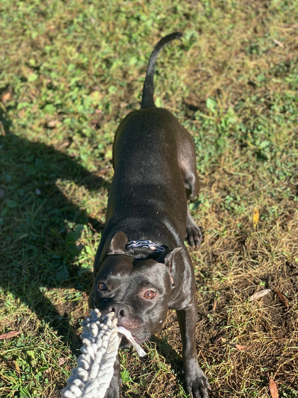 6309689D-62CB-4E63-8352-640B9659538E