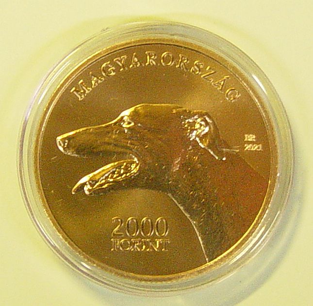 Ung-2000-Jagdhund-2021-PL-B