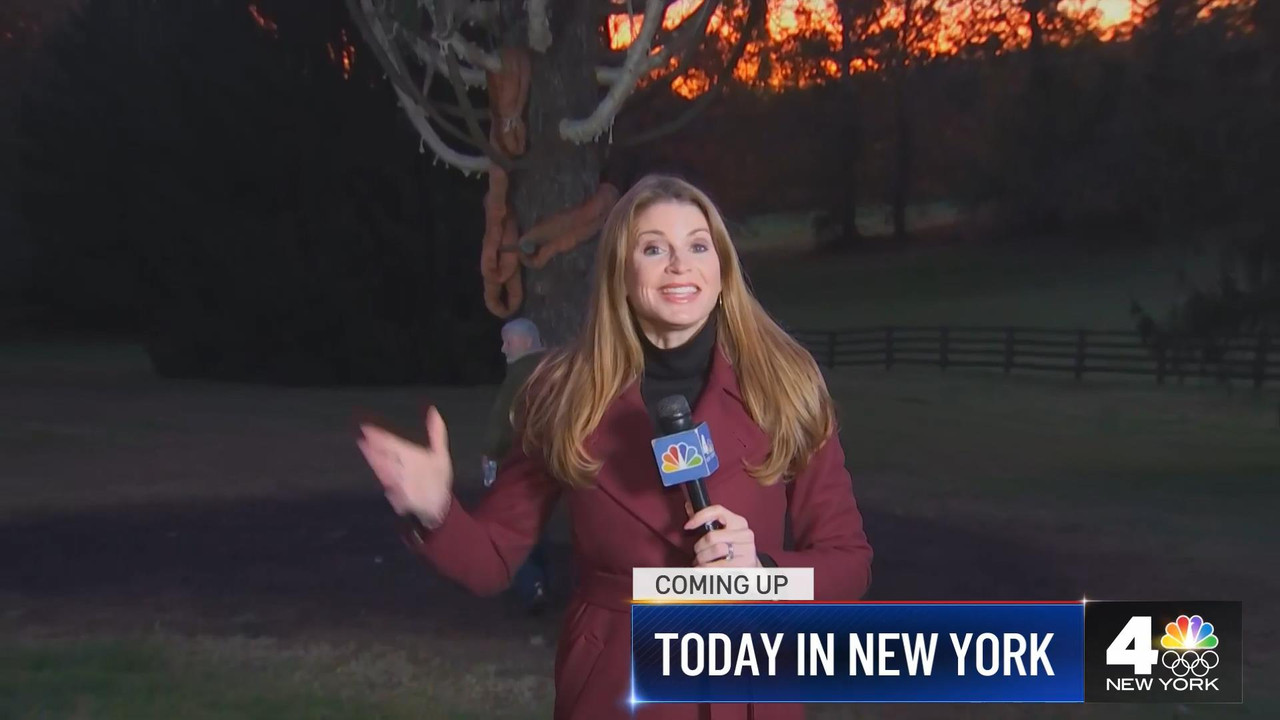 11.11 - 10.00.00 - Today in New York. Newsmagazine program offers a m....ts_snapshot_27.13_[2021.11.