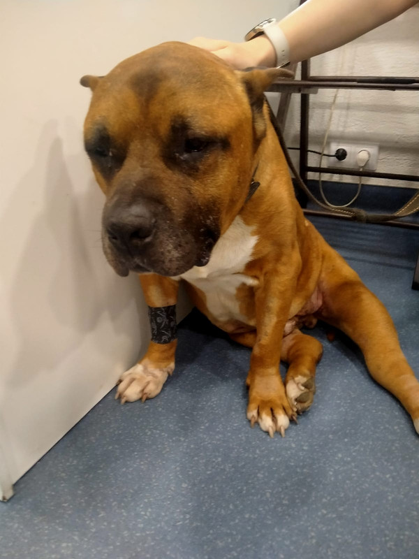 WhatsApp Image 2023-08-15 at 20.24.58 (1)