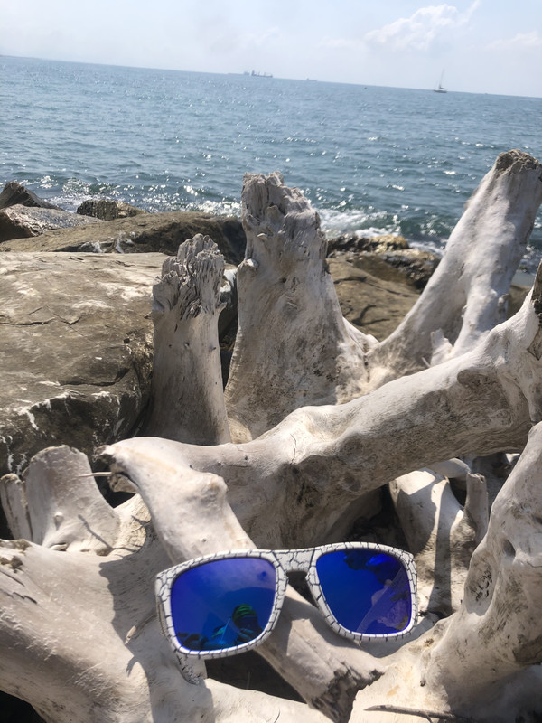 C8186C5E-BB53-4A81-8ADF-46AA65465F37